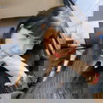 ซิ้ม ซิ้ม profile icon