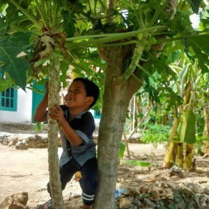 Ririn Puteri Sulungnya Dion profile icon