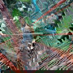 Rochelle Piñol profile icon