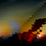 misriatul jannah profile icon