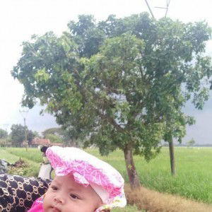 Alluna Shidqia Anwar profile icon