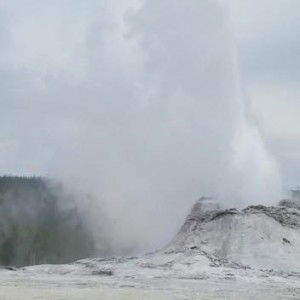 Mukta Ramnani profile icon