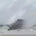 Mukta Ramnani profile icon