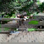 Sunthon Ainchan profile icon