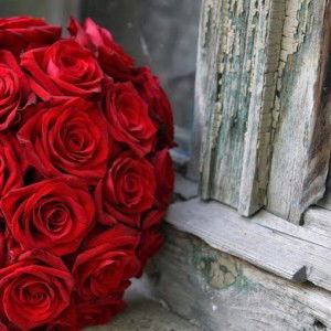 sinar cici profile icon