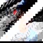 YingYing Stealth Zing profile icon