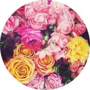 Kimberly Bason profile icon