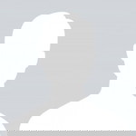 Fizanann Fizanann profile icon