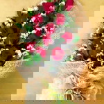 Licec Nagisaram Odiel profile icon