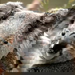 ใจดี profile icon