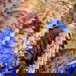 Amoey Fly profile icon