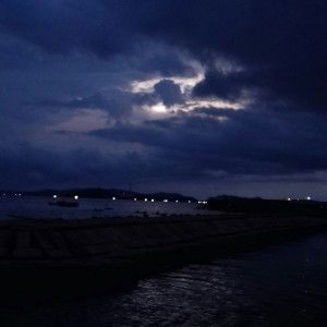 Claudia Majestica profile icon