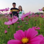 Nang profile icon