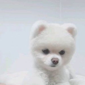 น้องเปิ้ล แดนซ์พัทยา profile icon