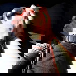 Nick Kyra profile icon