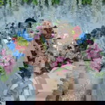 Ainie Ainalani profile icon