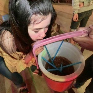 Farm Ponymon profile icon