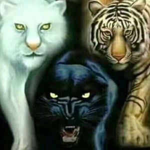 Erwin Cah Soak profile icon