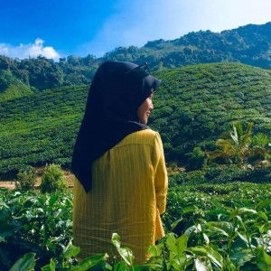 Comel Kecik profile icon