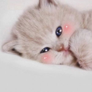 Jaimee Adarvie profile icon