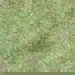 dzul fadhli sya'bana profile icon