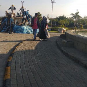 ID Tercubit profile icon