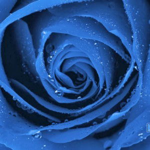 muhammad suhaimi zulfan efendi profile icon