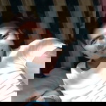 Lenjo Ogminoc profile icon