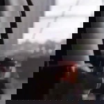 Ratanachai Jangsri profile icon