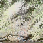 Winda Julita Ningsih profile icon