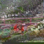 แล้ว แต่จะมอง profile icon