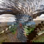 Mutia Ordaniza profile icon