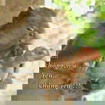 Tuan Le profile icon