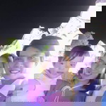 Hiền Mai profile icon