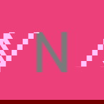 Nur Nazirah profile icon