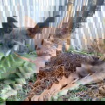 Malinee Tama profile icon