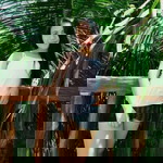 Grace Toyoto profile icon