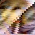 Siti Rochmatul Masykuroh profile icon