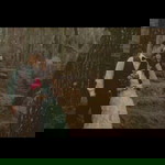 Lina Rosalina Saptani profile icon