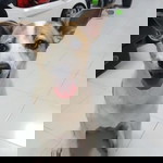 Jasmine Li profile icon