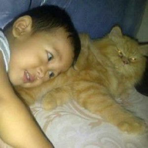 desy febryanti profile icon