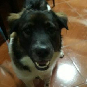 Kristine Co profile icon