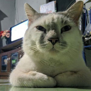 Zigit Wahyu profile icon