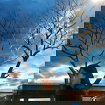 Paphassara Aryachoo profile icon