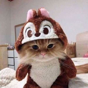 yeni handayani profile icon