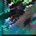 Cheska Hao Sabaulan profile icon