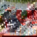 Nico Frans profile icon