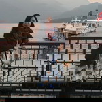 Thipsukon profile icon