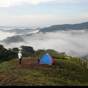 heart of mine profile icon