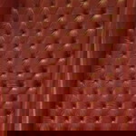 GAVIN DAO profile icon